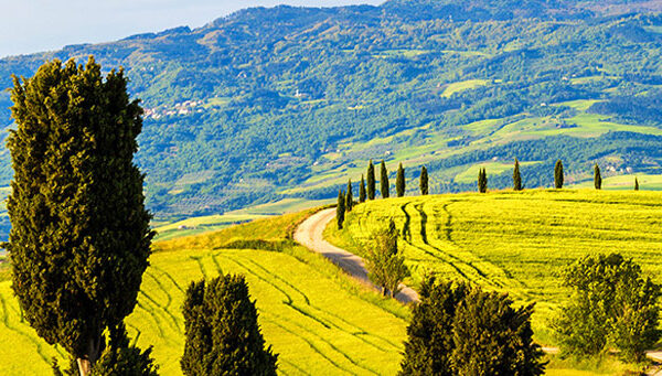 Tuscany landscape
