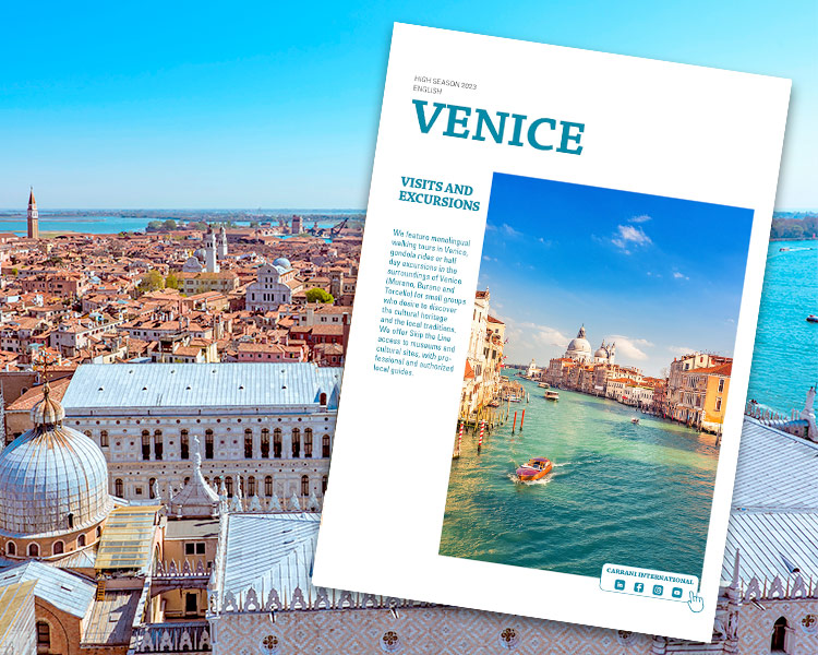 Venice Tours and activities