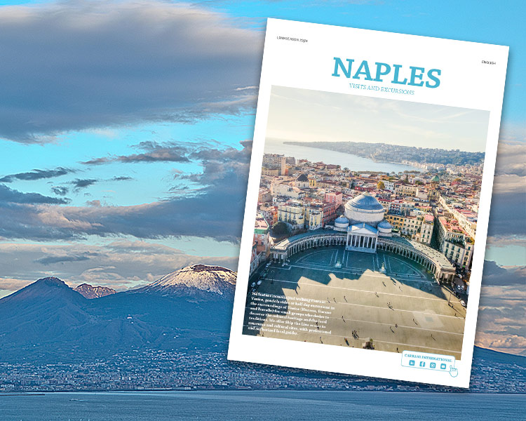 Naples Tours and Activities