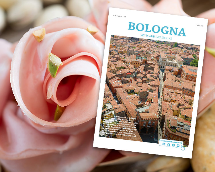 Close-up of a Mortadella rose with a Bologna travel catalogue in the background.